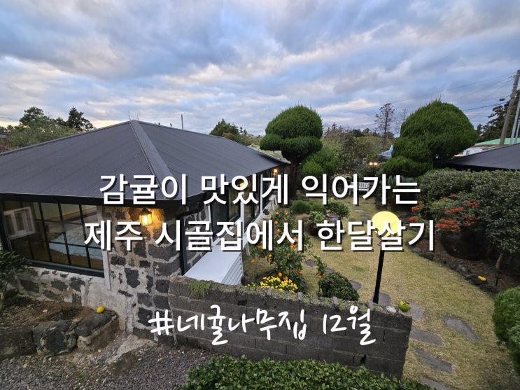  휴직·은퇴  후, 제주한달살기 좋은 숙소,12월 (겨울)