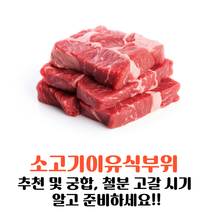  소고기 이유식 부위 추천 및 궁합, 철분 고갈 시기 알고 준비하세요!!