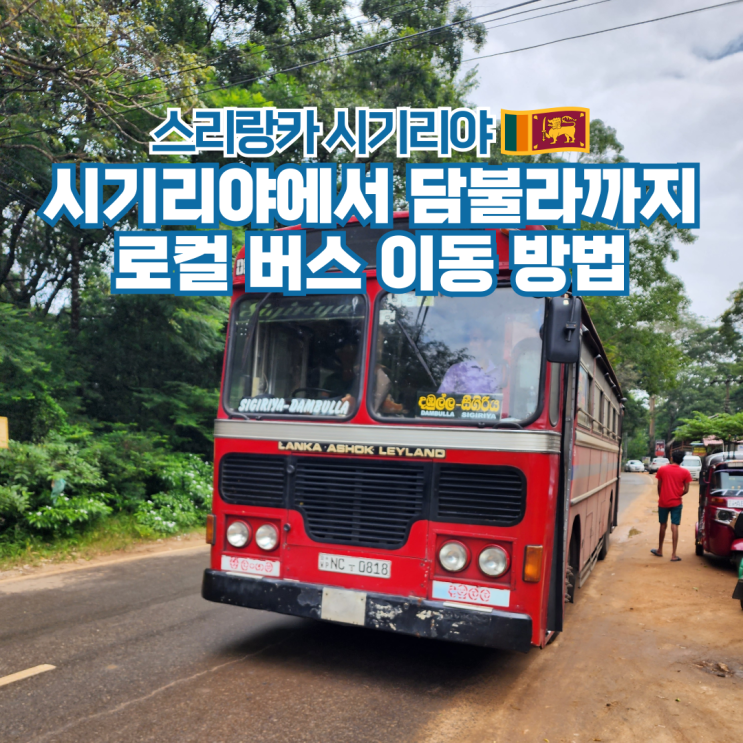  스리랑카 자유여행 시기리야에서 담불라 가는법 현지 버스