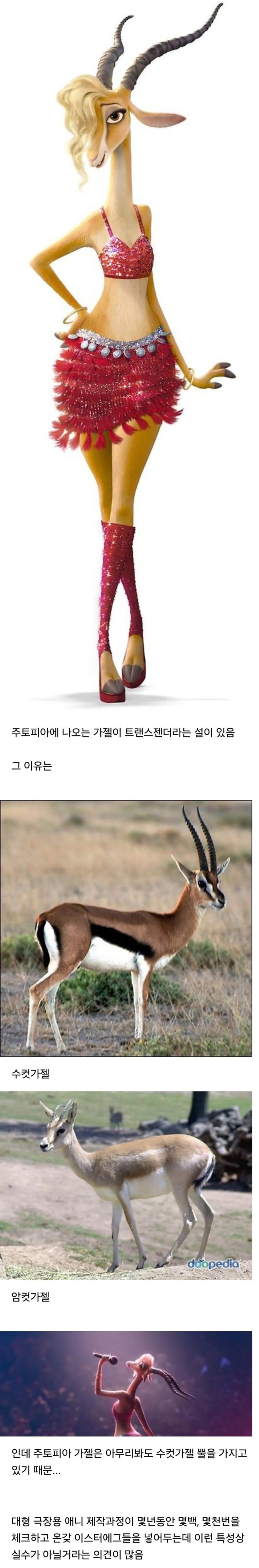  흥미로운 주토피아 가젤 트랜스젠더설 .jpg