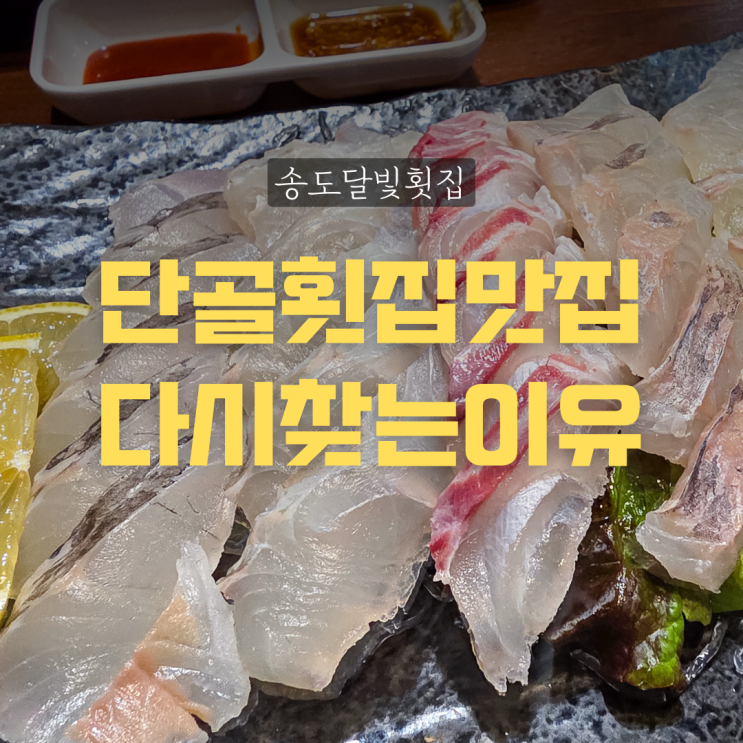  송도달빛횟집, 회가 생각날 때 다시 찾는 맛집의 기록