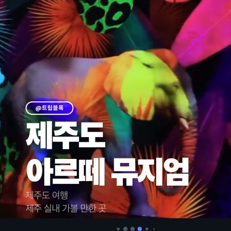  제주 아르떼뮤지엄 키즈 입장권 할인 시간 실내 관광지