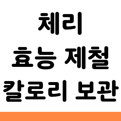  체리 효능 제철 칼로리 보관법 부작용