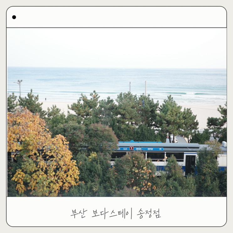  [보다스테이 송정점] 아기와 애견 동반 부산 오션뷰 숙소 추천
