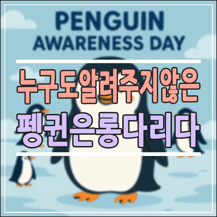  1월 20일 펭귄 인식의 날, 우리가 몰랐던 펭귄의 비밀과 보존의 중요성 (ft. 동물원 관찰 꿀팁)