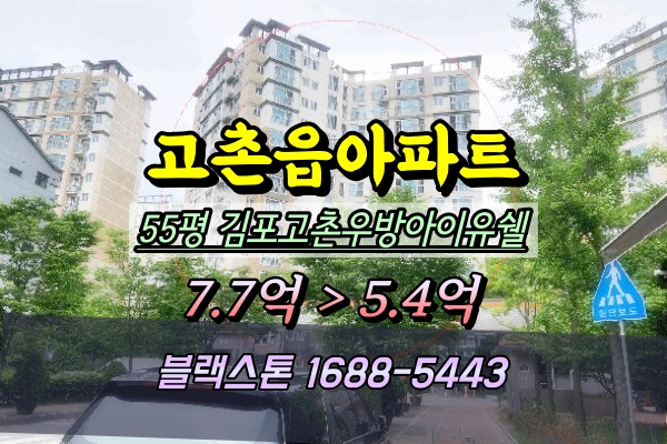  김포고촌우방아이유쉘 경매 55평 고촌역아파트