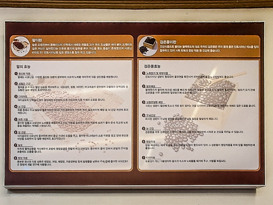 무안팥죽 사진 5
