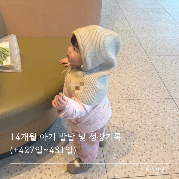  14개월 아기 발달 및 성장기록 (+427일~431일)