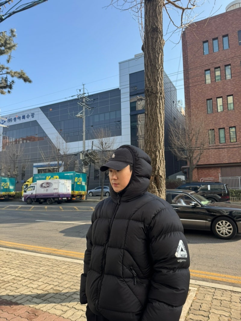 헤비다운패딩 추천/ 팔라스 퍼텍스 퀀텀 푸파 다운 패딩 내돈 내산 후기