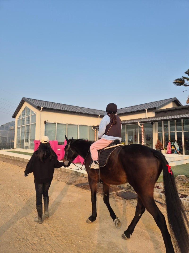 N번째 방문하는 키즈팜 경주막내농부 여기안가보면손해