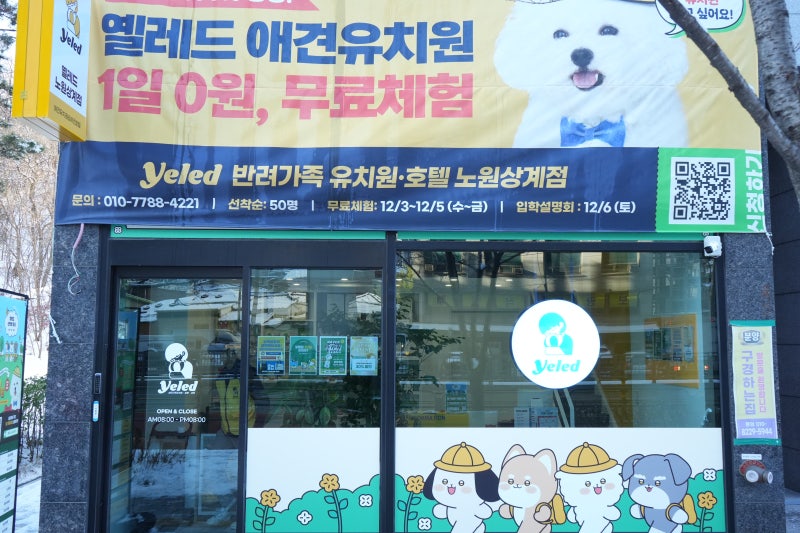 사진 4