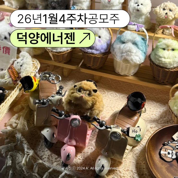  덕양에너젠 공모주 청약일정 및 분석 수요예측