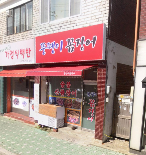 뚱땡이꼼장어 사진 1