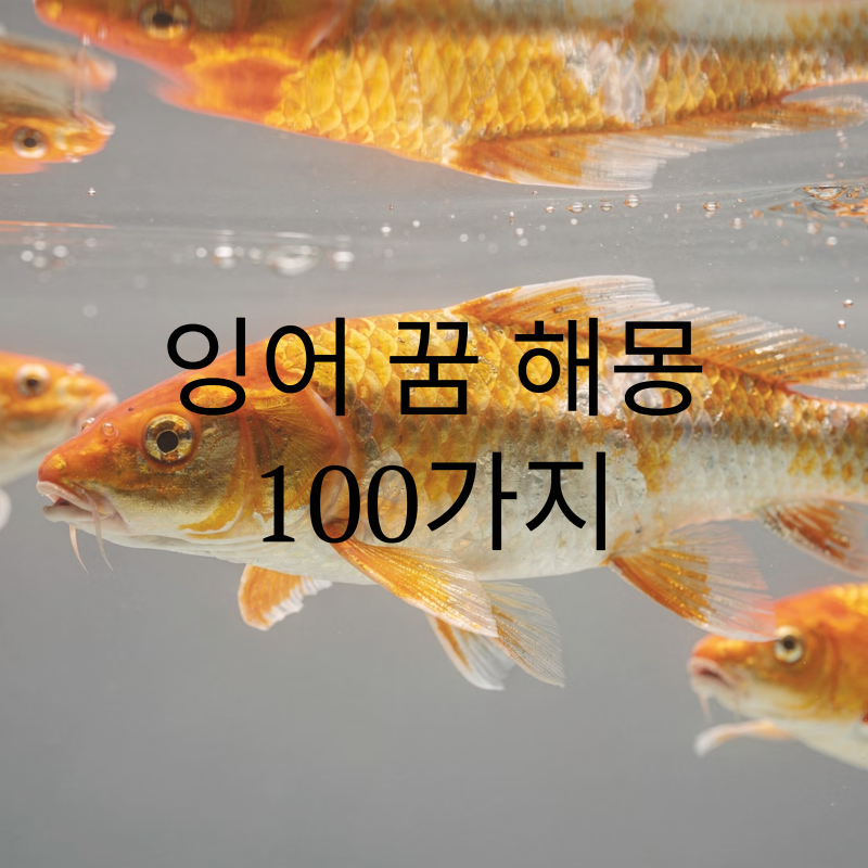 잉어 꿈, 등용문의 상징, 위대한 성공의 전조: 잉어 꿈 해몽 100가지 - 황금 잉어 꿈, 비단잉어 ....