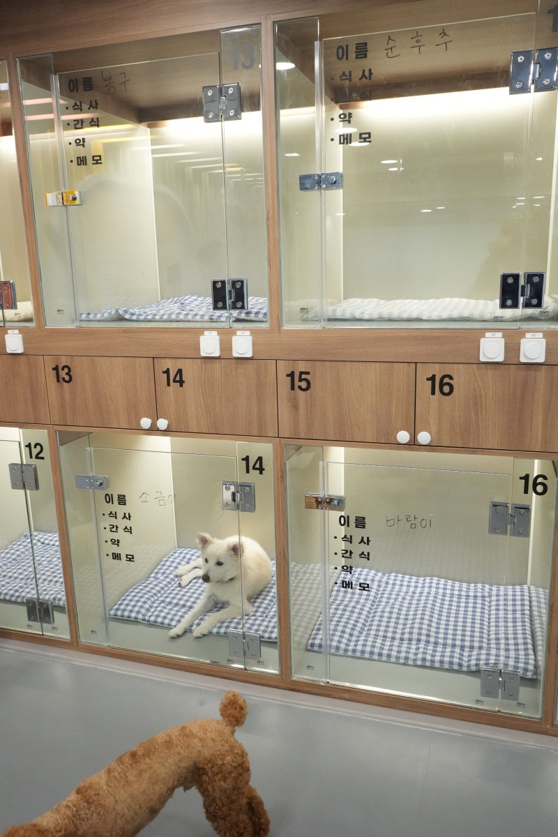 사진 6
