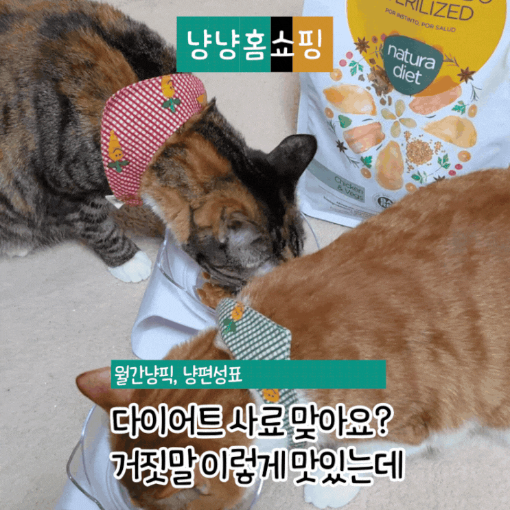  고양이 유리너리 다이어트 사료, 나투라다이어트 캣 26년 설 세일 진행중