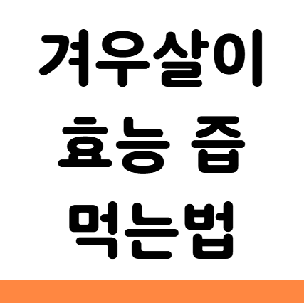  겨우살이 효능 먹는법 당뇨 부작용
