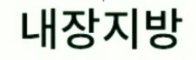  내장지방 쌓이는 원인과 생활습관 개선법