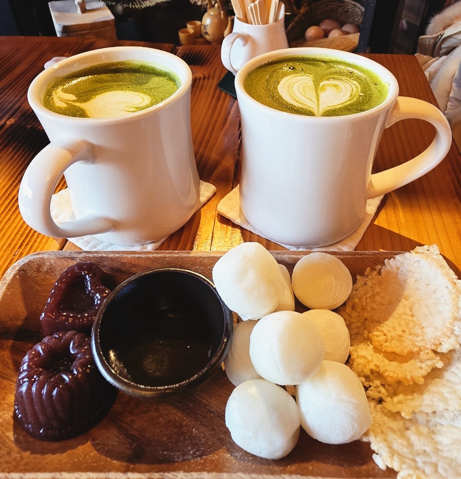백호 사진 1