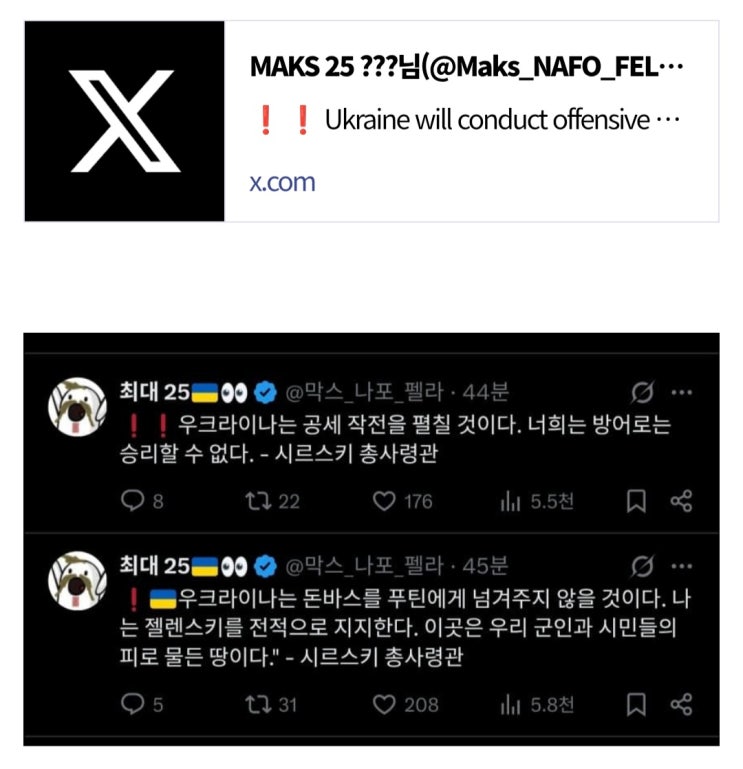  우크라이나 공세 선언