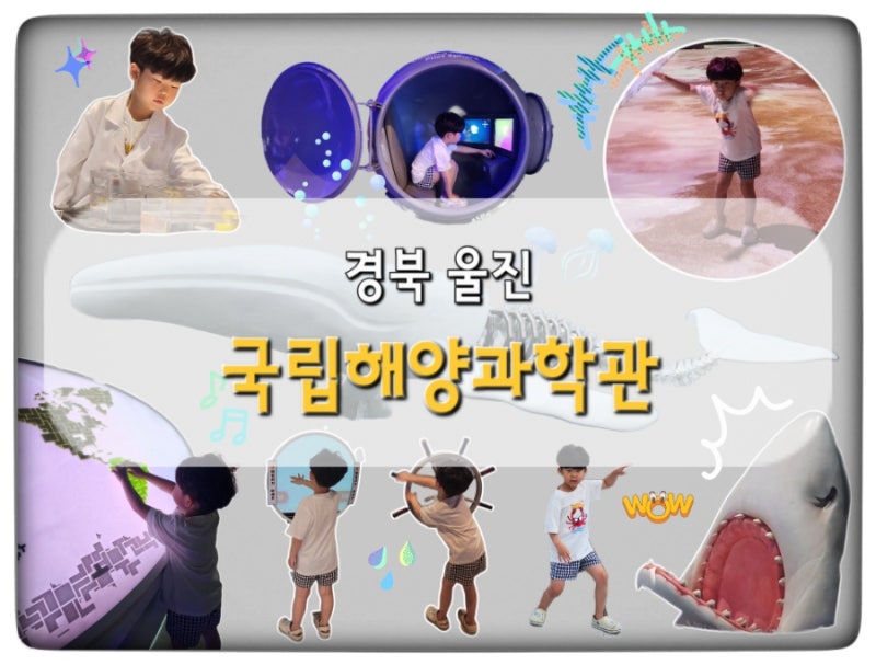 울진) 국립해양과학관 아이와 함께 무료 놀거리 체험 겨울방학 코스추천