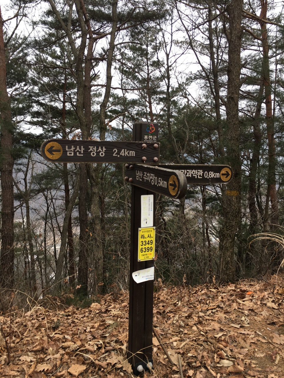 오룡산 사진 5