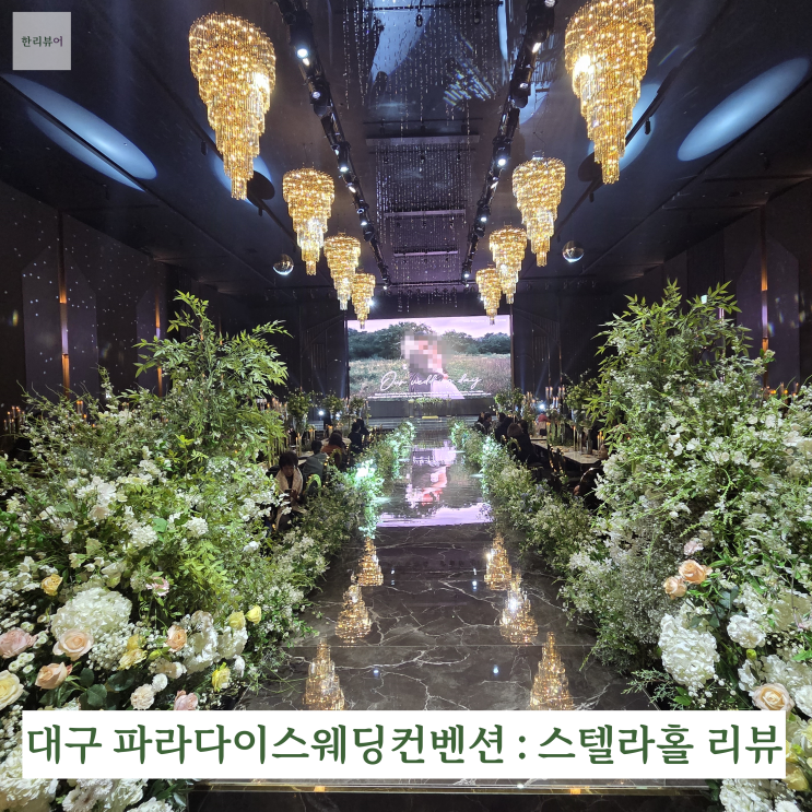  대구 파라다이스웨딩컨벤션 : 스텔라홀 하객 리뷰