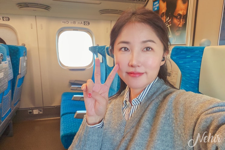 일본 신칸센 종류 캐리어 예약방법 가격 도쿄역 도쿄에서 오사카 이동