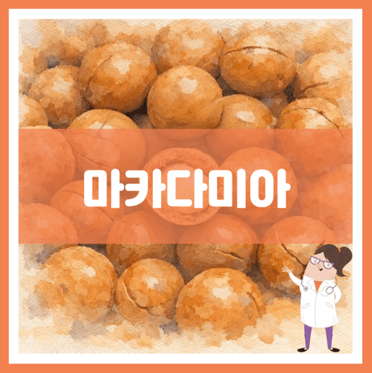  마카다미아 효능 영양성분 부작용