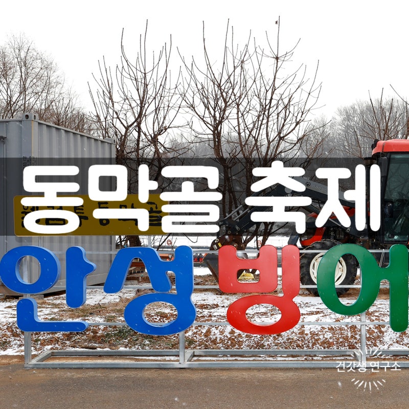 2026 안성동막골빙어축제 일정, 입장료, 준비물