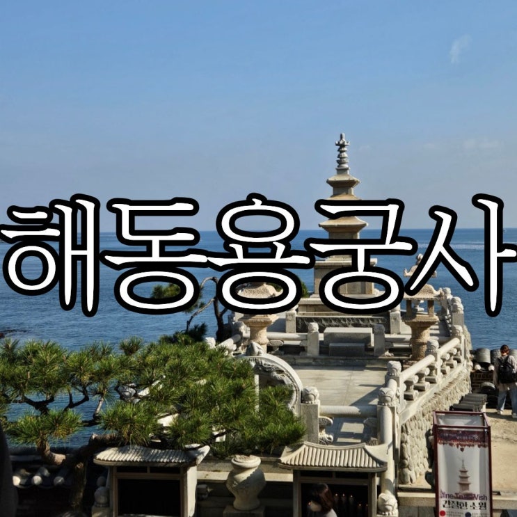  부산 기장 가볼 만한 곳 '해동 용궁사' 한 가지 소원을 꼭 이루는 사찰