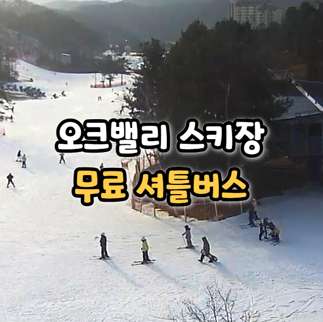  오크밸리 셔틀 버스 타는 곳 위치 예약 시간 총정리