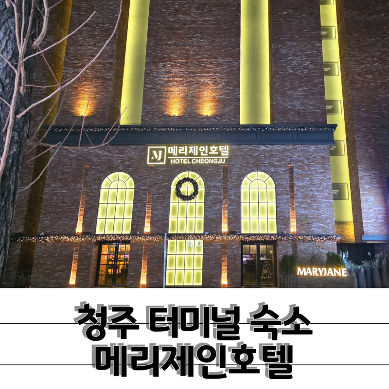 가성비 좋은 깔끔한 청주 숙소 조식까지 나오는 청주터미널호텔 메리제인호텔