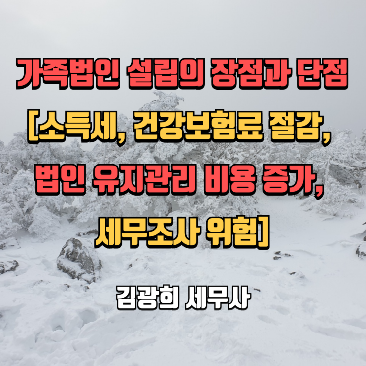  가족법인 설립의 장점과 단점[소득세, 건강보험료 절감, 법인 유지관리 비용 증가, 세무조사 위험]