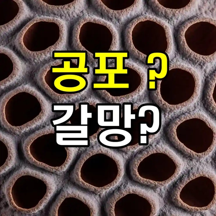  환 공포증, 혐오인가? 관종인가