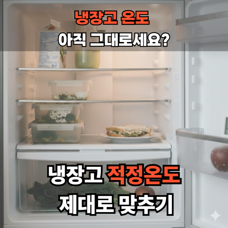  냉장고 적정온도 0~4도의 비밀, 음식 신선도 2배 높이는 방법
