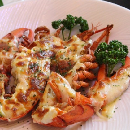 '봄경' 체험단 모집