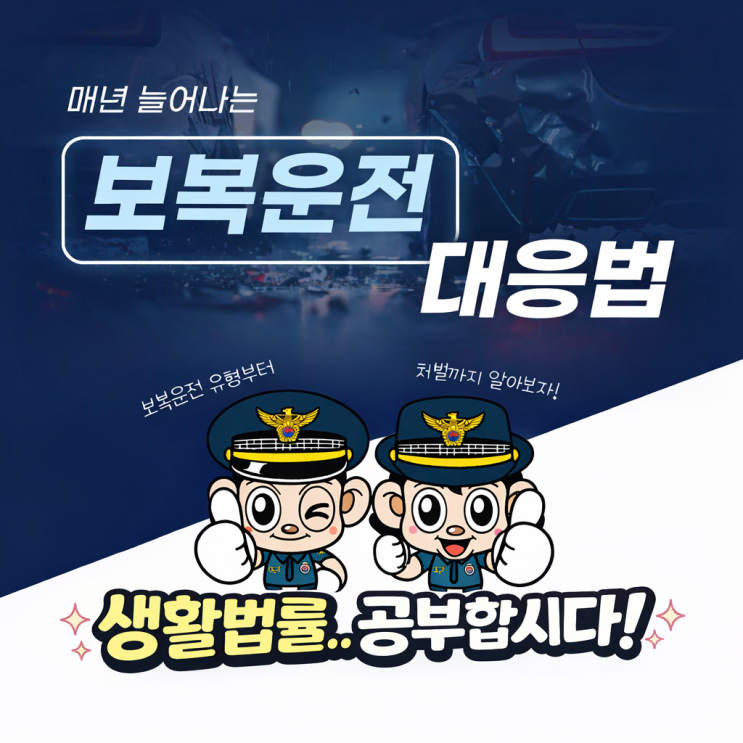  법공부 : 보복운전, 순간의 분노가 왜 중대 범죄가 될까요?