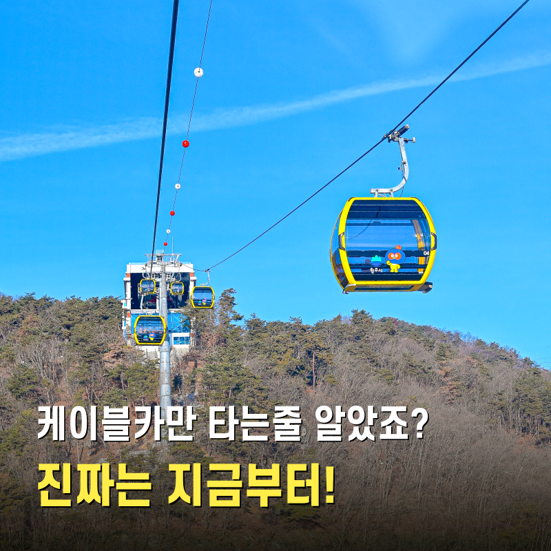 사진 8