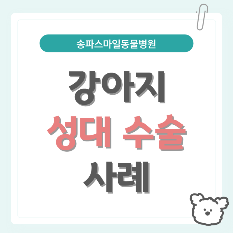 강아지 성대수술, 비절개·절개 방식 차이와 당일 퇴원이 가능했던 이유