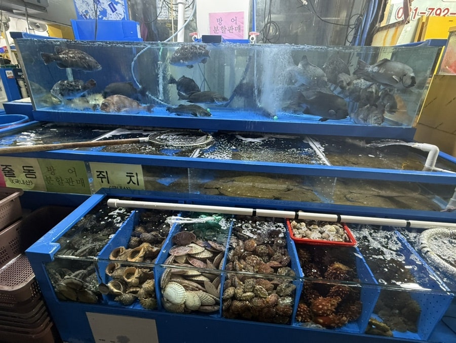 일오삼수산 사진 2