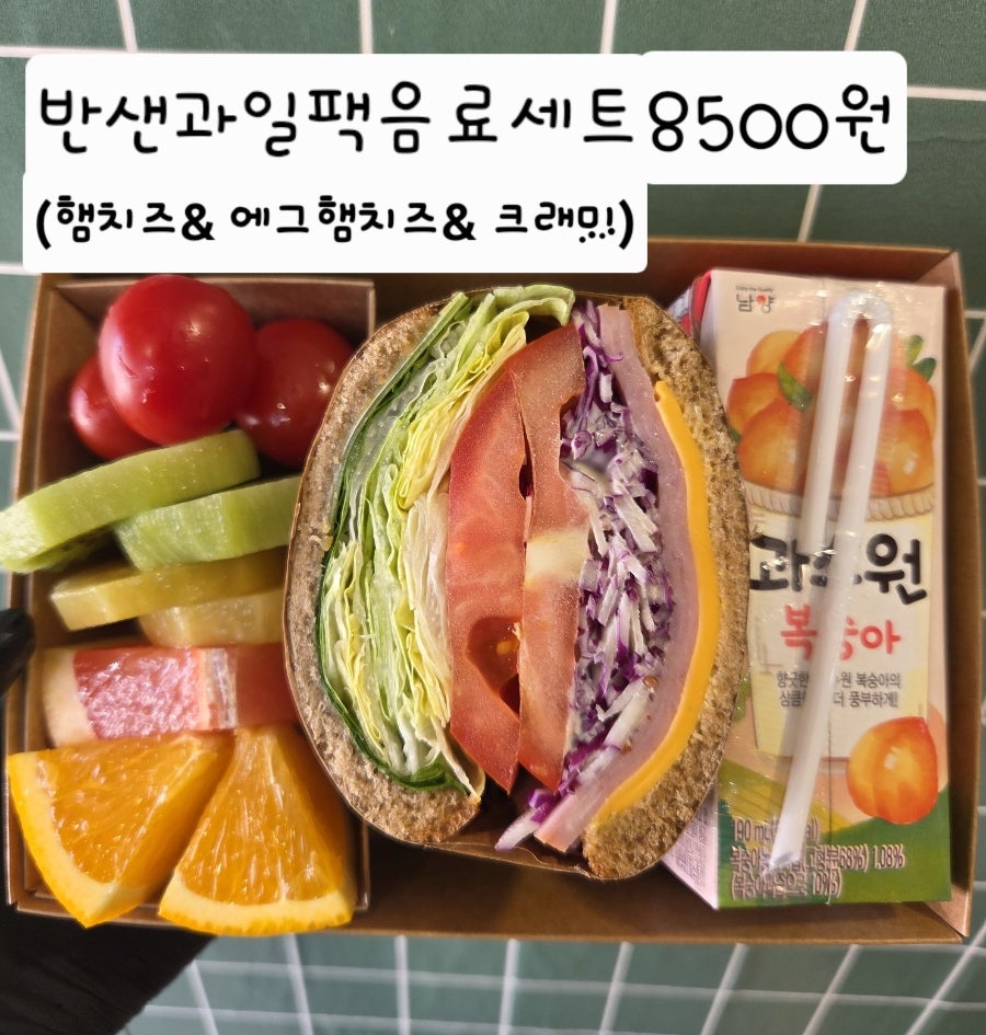 연초밥 사진 2