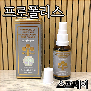 프로폴리스 스프레이 목에 불날 때 브라질산 왁스그린