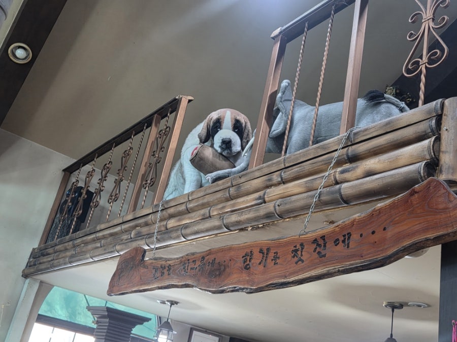 자연과사람들 사진 6