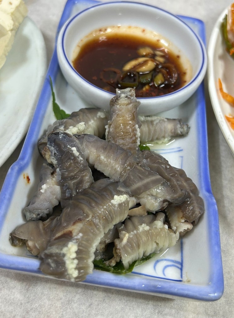   [통영 북신동 대성회센타] 회를 시켰는데 곰장어 수육이 나오는 횟집이 있다고?