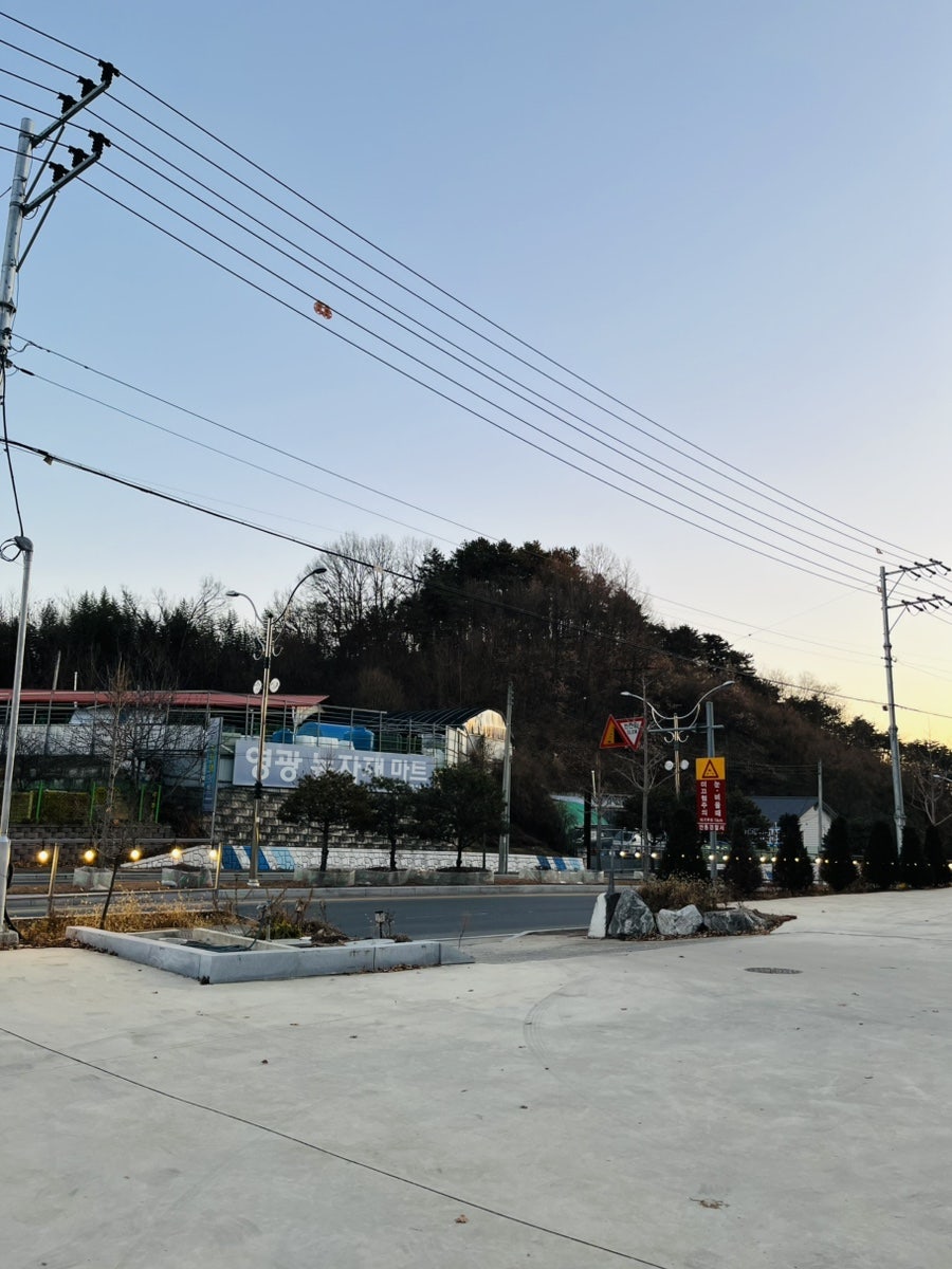 카페수우 사진 2