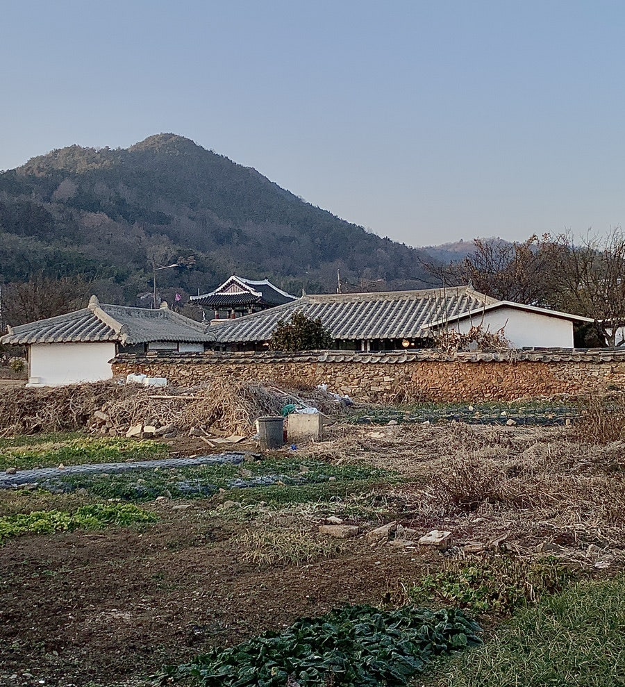 스테이보리 사진 2