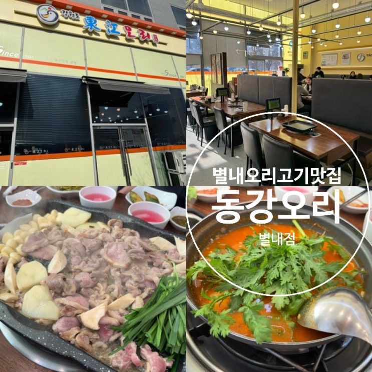  별내맛집 별내오리고기맛집 동강오리 별내점 통마늘 주물럭 오리고기 맛있고 쌈야채 듬뿍 가져다 먹을 수 있는곳 가족외식,모임,회식장소로 추천 (+ 메뉴, 맛, 분위기, 주차, 예약)