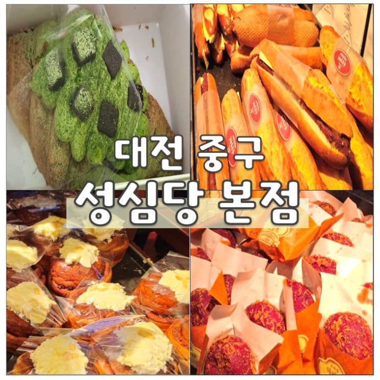  섬심당 본점 빵 추천 말차 크루아상 생귤롤 케이크 평일 웨이팅