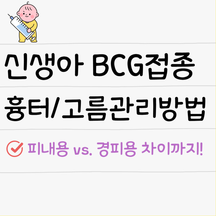  신생아 피내용 경피용 BCG 차이 접종｜흉터·고름 관리까지 완벽 정리